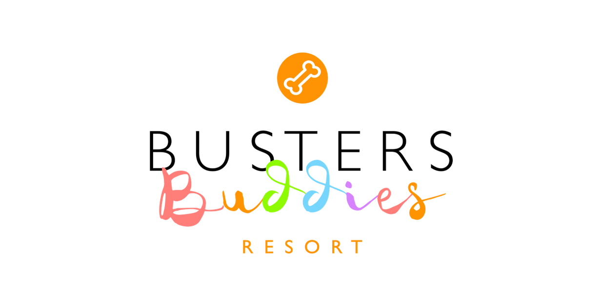 Buster's Buddies Dog Daycare Little Chute, Wisconsin